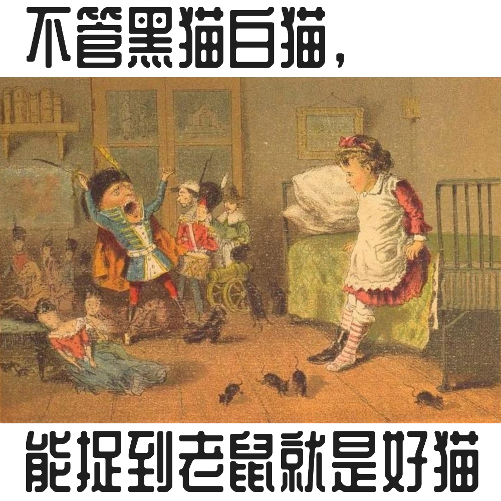 不管黑猫白猫，能捉到老鼠就是好猫